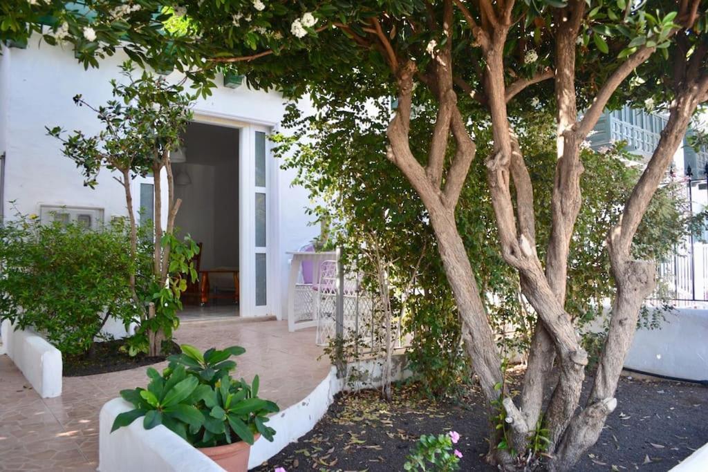 פוארטו דל כרמן Playa Chica Apt With Terrace 100 M From The Sea מראה חיצוני תמונה